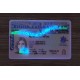 British Columbia (B.C.) Fake IDs (2025 Version)