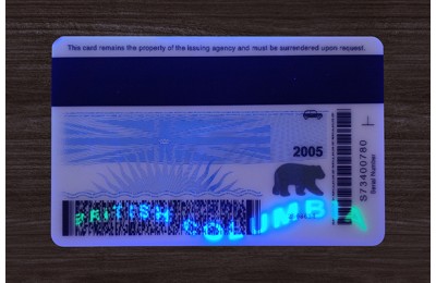 British Columbia (B.C.) Fake IDs (2025 Version)