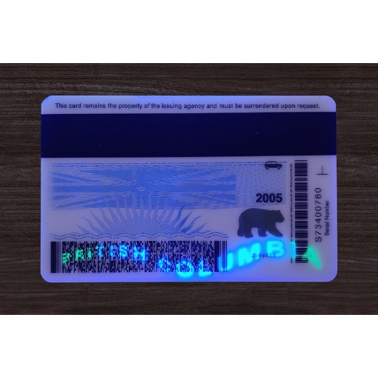 British Columbia (B.C.) Fake IDs (2025 Version)