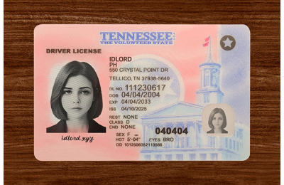 Tennessee (TN) Fake IDs  (2025 Version)
