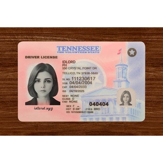 Tennessee (TN) Fake IDs  (2025 Version)