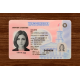 Tennessee (TN) Fake IDs  (2025 Version)