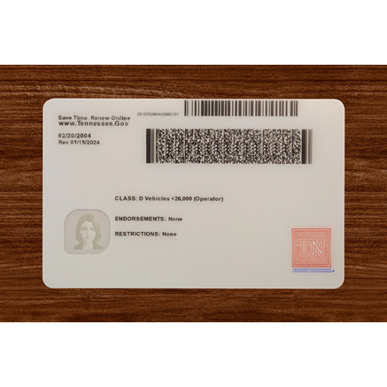 Tennessee (TN) Fake IDs  (2025 Version)