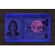 Ontario (ON) Fake Dirvers Licence (2025 version)