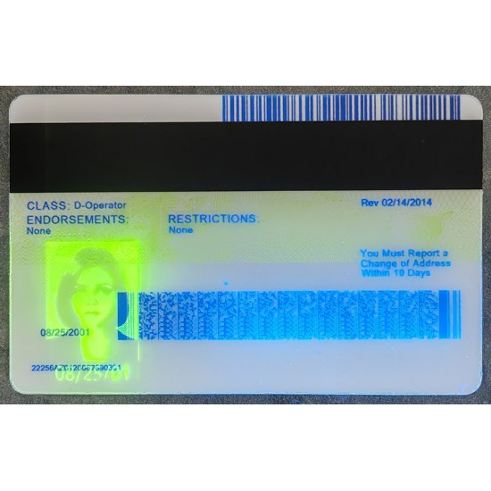 Arizona (AZ) Fake IDs