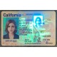California (CA) Fake IDs