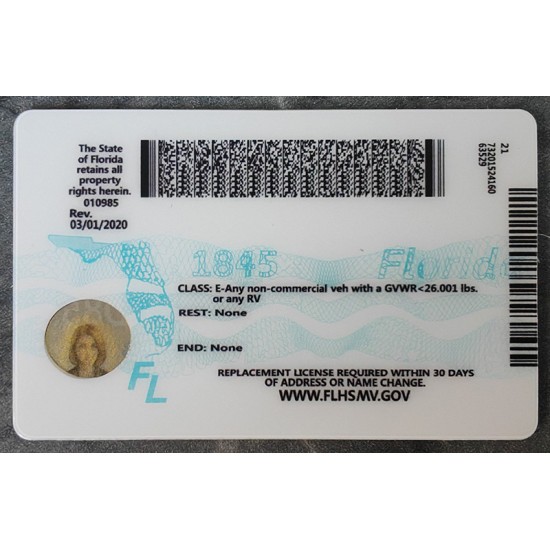 Florida (FL) Fake IDs