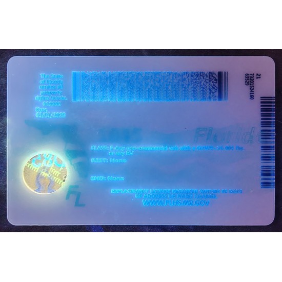 Florida (FL) Fake IDs
