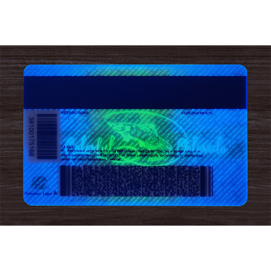 Colorado (CO) Fake IDs