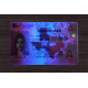 Texas (TX) Fake Dirvers Licence (2025 version)
