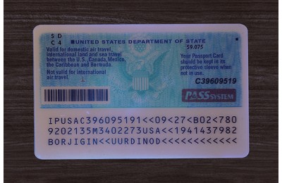 Fake Passport Card