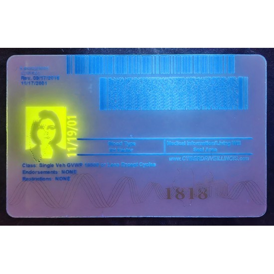 Illinois (IL) Fake IDs