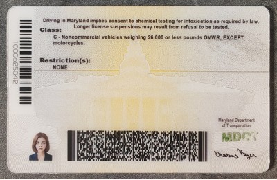Maryland (MD) Fake IDs