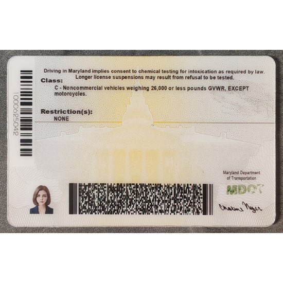 Maryland (MD) Fake IDs