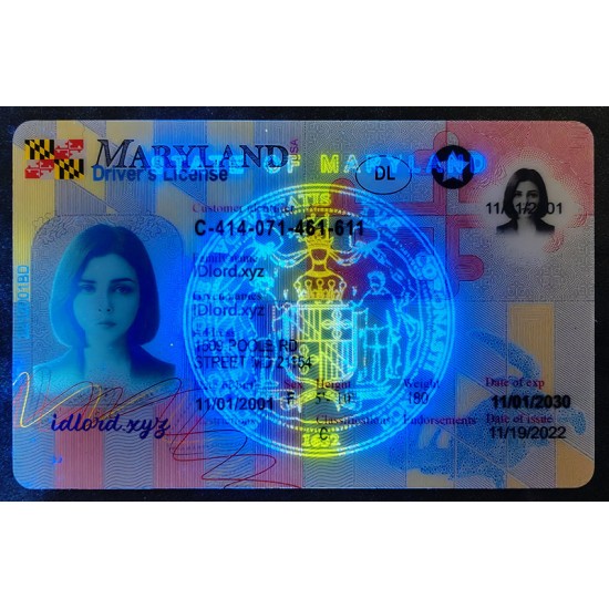 Maryland (MD) Fake IDs