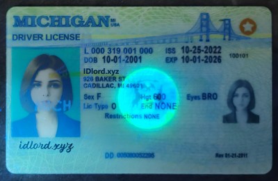 Michigan (MI) Fake ID