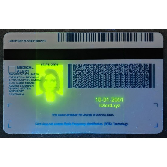 Michigan (MI) Fake IDs