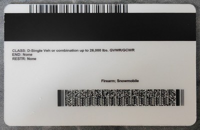 Minnesota (MN) Fake IDs