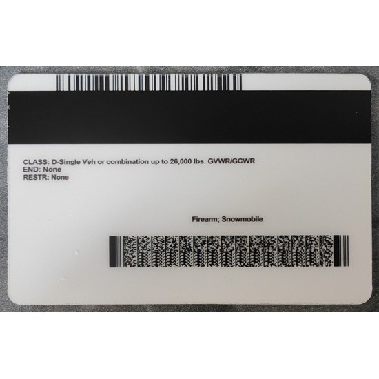 Minnesota (MN) Fake IDs