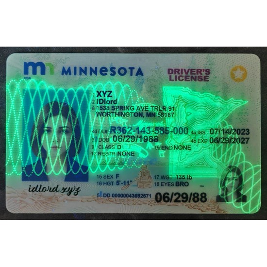 Minnesota (MN) Fake IDs