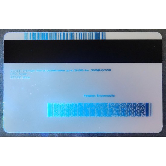 Minnesota (MN) Fake IDs