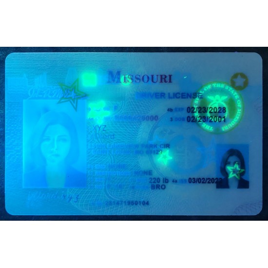 Missouri (MO) Fake Dirvers Licence