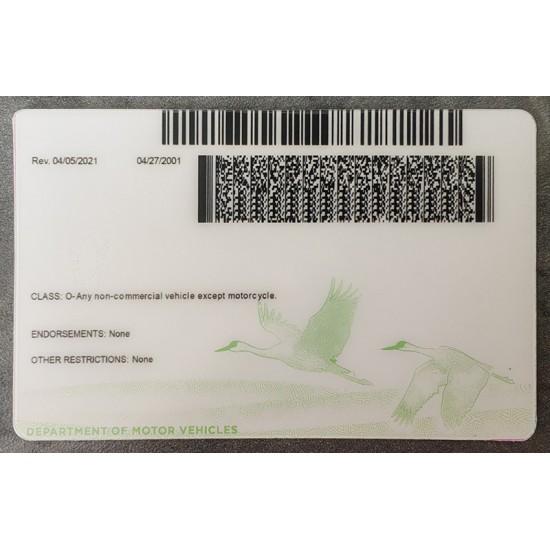 Nebraska (NE) Fake Dirvers Licence