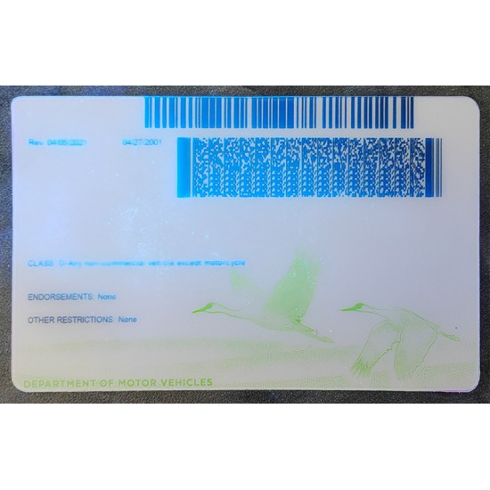 Nebraska (NE) Fake Dirvers Licence