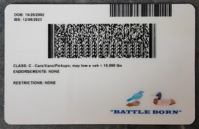 Nevada (NV) Fake Dirvers Licence