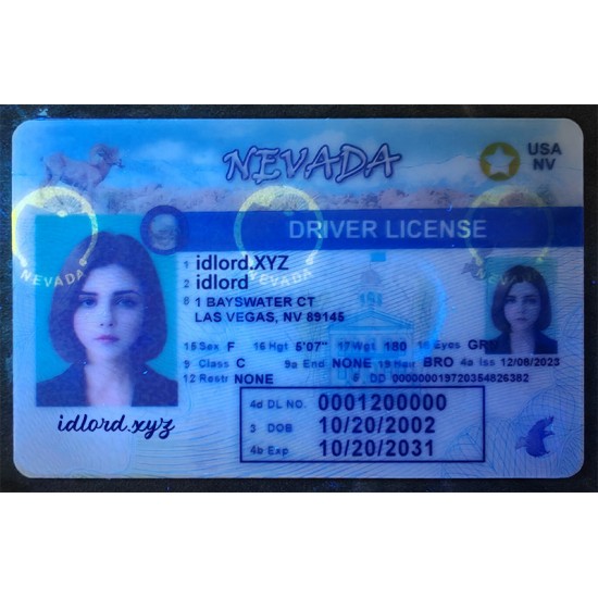 Nevada (NV) Fake Dirvers Licence