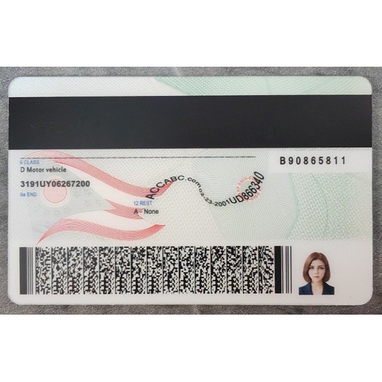 Ohio (OH) Fake Dirvers Licence