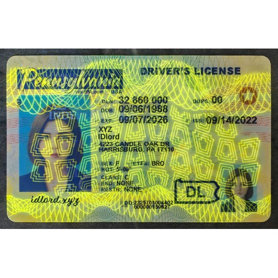 Pennsylvania (PA) Fake Dirvers Licence