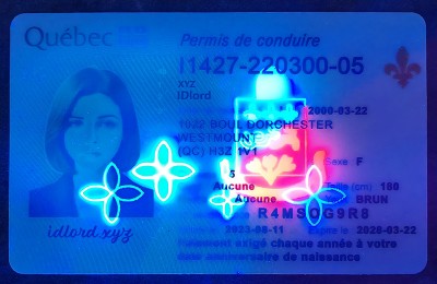 Quebec (QC) Fake Dirvers Licence