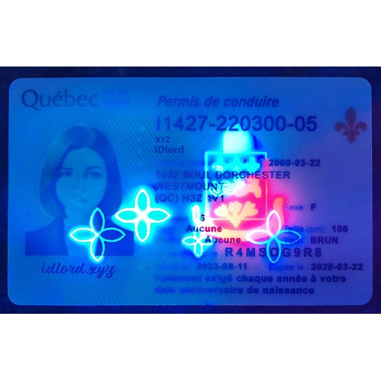 Quebec (QC) Fake Dirvers Licence