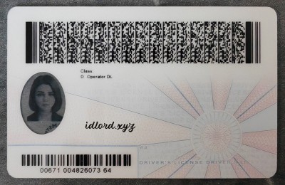 Virginia (VA) Fake Dirvers Licence
