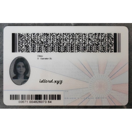 Virginia (VA) Fake Dirvers Licence