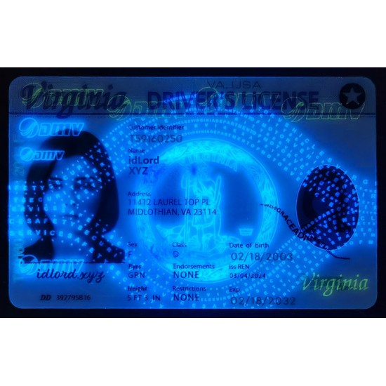 Virginia (VA) Fake Dirvers Licence