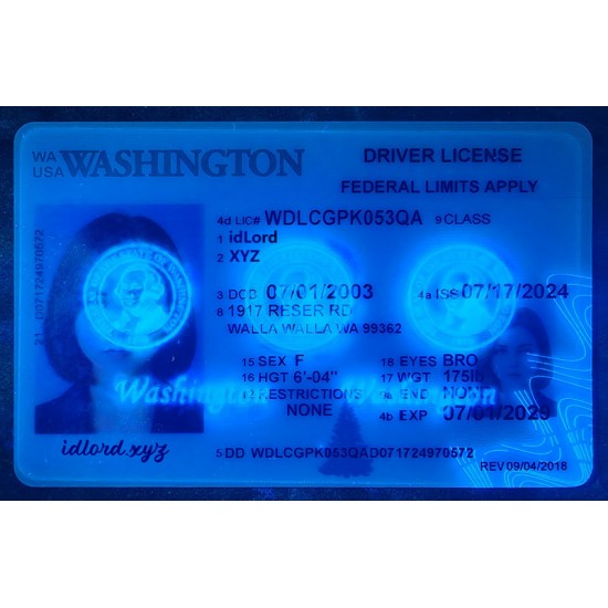 Washington (WA) Fake Dirvers Licence