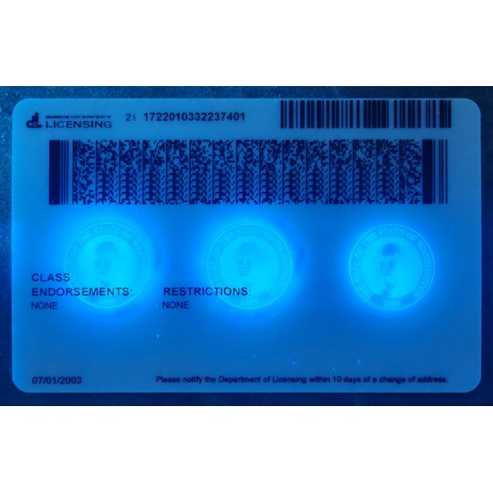 Washington (WA) Fake Dirvers Licence