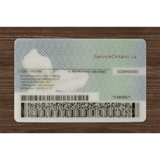 Ontario (ON) Fake Dirvers Licence (2025 version)