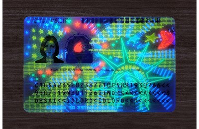 American Green Card(2025 version)