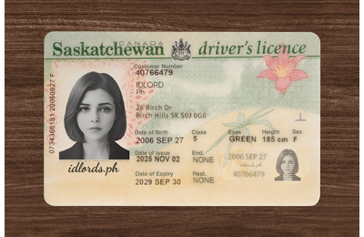 Saskatchewan (SK) Fake Dirvers Licence