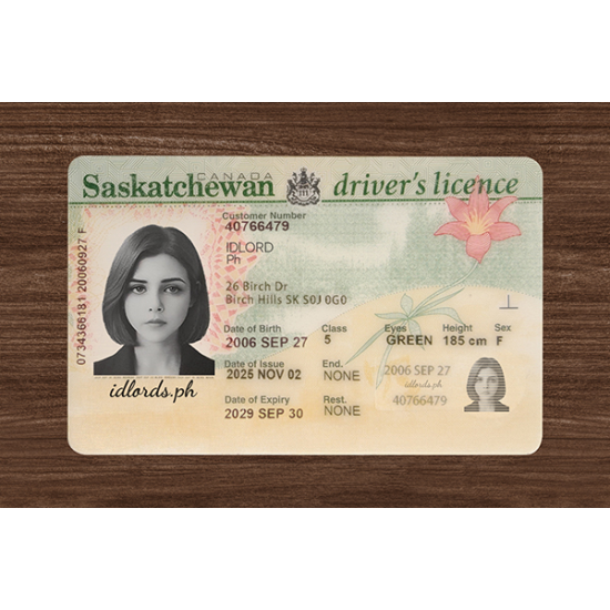 Saskatchewan (SK) Fake Dirvers Licence