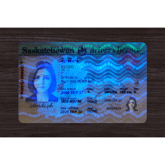 Saskatchewan (SK) Fake Dirvers Licence