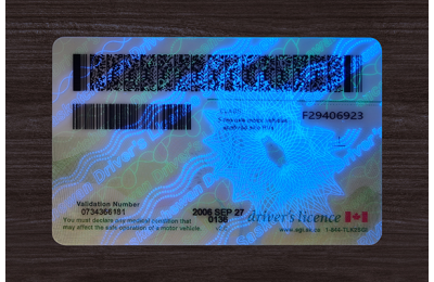 Saskatchewan (SK) Fake Dirvers Licence