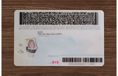 Alberta (Alta) Fake DL (2026 Version)